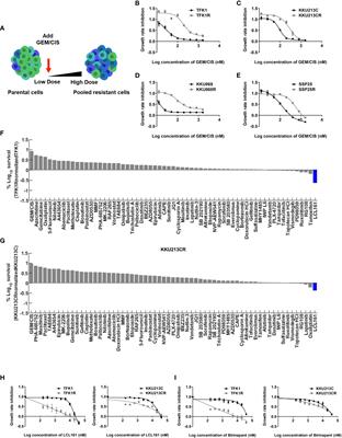 Combining the SMAC mimetic LCL161 with Gemcitabine plus Cisplatin therapy inhibits and prevents the emergence of multidrug resistance in cholangiocarcinoma